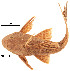  ( - stri-4145)  @11 [ ] Unspecified (default): All Rights Reserved  Unspecified Unspecified