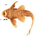 ( - stri-4145)  @11 [ ] Unspecified (default): All Rights Reserved  Unspecified Unspecified