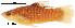  ( - stri-4162)  @13 [ ] Unspecified (default): All Rights Reserved  Unspecified Unspecified
