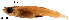  ( - stri-4173)  @11 [ ] Unspecified (default): All Rights Reserved  Unspecified Unspecified