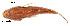  ( - stri-4541)  @14 [ ] Unspecified (default): All Rights Reserved  Unspecified Unspecified