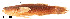  ( - stri-4541)  @14 [ ] Unspecified (default): All Rights Reserved  Unspecified Unspecified