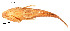  ( - stri-4541)  @14 [ ] Unspecified (default): All Rights Reserved  Unspecified Unspecified