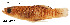  ( - stri-6323)  @13 [ ] Unspecified (default): All Rights Reserved  Unspecified Unspecified