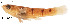  ( - stri-6475)  @13 [ ] Unspecified (default): All Rights Reserved  Unspecified Unspecified