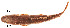  ( - stri-6729)  @12 [ ] Unspecified (default): All Rights Reserved  Unspecified Unspecified