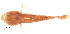  ( - stri-6837)  @12 [ ] Unspecified (default): All Rights Reserved  Unspecified Unspecified