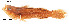  ( - stri-6837)  @14 [ ] Unspecified (default): All Rights Reserved  Unspecified Unspecified