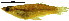  ( - stri-6844)  @13 [ ] Unspecified (default): All Rights Reserved  Unspecified Unspecified