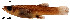  ( - stri-6932)  @12 [ ] Unspecified (default): All Rights Reserved  Unspecified Unspecified