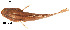  ( - stri-6991)  @12 [ ] Unspecified (default): All Rights Reserved  Unspecified Unspecified