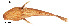  ( - stri-6991)  @13 [ ] Unspecified (default): All Rights Reserved  Unspecified Unspecified