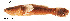  ( - stri-7305)  @14 [ ] Unspecified (default): All Rights Reserved  Unspecified Unspecified