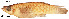  ( - STRI-7371)  @13 [ ] Unspecified (default): All Rights Reserved  Unspecified Unspecified