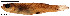  ( - stri-7425)  @13 [ ] Unspecified (default): All Rights Reserved  Unspecified Unspecified