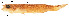  ( - stri-7477)  @13 [ ] Unspecified (default): All Rights Reserved  Unspecified Unspecified