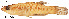  ( - stri-7645)  @14 [ ] Unspecified (default): All Rights Reserved  Unspecified Unspecified