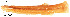  ( - stri-7657)  @12 [ ] Unspecified (default): All Rights Reserved  Unspecified Unspecified