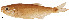  ( - AM-27)  @11 [ ] Unspecified (default): All Rights Reserved  Unspecified Unspecified