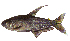  ( - stri-4889)  @13 [ ] Unspecified (default): All Rights Reserved  Unspecified Unspecified