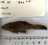  ( - stri-1686)  @13 [ ] Unspecified (default): All Rights Reserved  Unspecified Unspecified