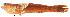  ( - stri-1129)  @14 [ ] Unspecified (default): All Rights Reserved  Unspecified Unspecified