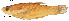 ( - stri-1133)  @13 [ ] Unspecified (default): All Rights Reserved  Unspecified Unspecified