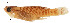  ( - stri-1180)  @13 [ ] Unspecified (default): All Rights Reserved  Unspecified Unspecified