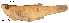  ( - stri-1200)  @13 [ ] Unspecified (default): All Rights Reserved  Unspecified Unspecified