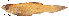  ( - stri-1265)  @12 [ ] Unspecified (default): All Rights Reserved  Unspecified Unspecified