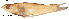  ( - stri-13496)  @13 [ ] Unspecified (default): All Rights Reserved  Unspecified Unspecified