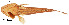  ( - stri-13515)  @14 [ ] Unspecified (default): All Rights Reserved  Unspecified Unspecified
