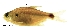  ( - stri-2035)  @13 [ ] Unspecified (default): All Rights Reserved  Unspecified Unspecified