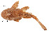  ( - stri-2056)  @14 [ ] Unspecified (default): All Rights Reserved  Unspecified Unspecified