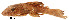  ( - stri-2056)  @13 [ ] Unspecified (default): All Rights Reserved  Unspecified Unspecified