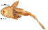  ( - stri-2056)  @13 [ ] Unspecified (default): All Rights Reserved  Unspecified Unspecified