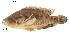  ( - stri-2136)  @14 [ ] Unspecified (default): All Rights Reserved  Unspecified Unspecified