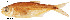 ( - stri-2139)  @11 [ ] Unspecified (default): All Rights Reserved  Unspecified Unspecified