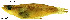  ( - stri-2158)  @11 [ ] Unspecified (default): All Rights Reserved  Unspecified Unspecified