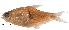  ( - stri-2160)  @13 [ ] Unspecified (default): All Rights Reserved  Unspecified Unspecified