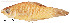  ( - stri-2168)  @14 [ ] Unspecified (default): All Rights Reserved  Unspecified Unspecified