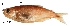  ( - stri-125)  @13 [ ] Unspecified (default): All Rights Reserved  Unspecified Unspecified