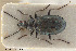  ( - BGE_00261_E01)  @11 [ ] Creative Commons  Attribution Non-Commercial Share-Alike (2024) NTNU University Museum, Department of Natural History NTNU University Museum, Department of Natural History