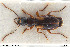  ( - BGE_00261_D09)  @11 [ ] Creative Commons  Attribution Non-Commercial Share-Alike (2024) NTNU University Museum, Department of Natural History NTNU University Museum, Department of Natural History