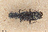  ( - BGE_00261_G03)  @11 [ ] Creative Commons  Attribution Non-Commercial Share-Alike (2024) NTNU University Museum, Department of Natural History NTNU University Museum, Department of Natural History