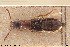  ( - BGE_00261_F07)  @11 [ ] Creative Commons  Attribution Non-Commercial Share-Alike (2024) NTNU University Museum, Department of Natural History NTNU University Museum, Department of Natural History