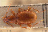  ( - BGE_00258_B03)  @11 [ ] Creative Commons  Attribution Non-Commercial Share-Alike (2024) NTNU University Museum, Department of Natural History NTNU University Museum, Department of Natural History