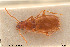  ( - BGE_00258_B04)  @11 [ ] Creative Commons  Attribution Non-Commercial Share-Alike (2024) NTNU University Museum, Department of Natural History NTNU University Museum, Department of Natural History