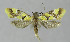  ( - BGE_00240_A08)  @11 [ ] Creative Commons  Attribution Non-Commercial Share-Alike (2024) Kai Berggren NTNU University Museum, Department of Natural History