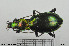  ( - BGE_00261_C12)  @11 [ ] Creative Commons  Attribution Non-Commercial Share-Alike (2024) NTNU University Museum, Department of Natural History NTNU University Museum, Department of Natural History